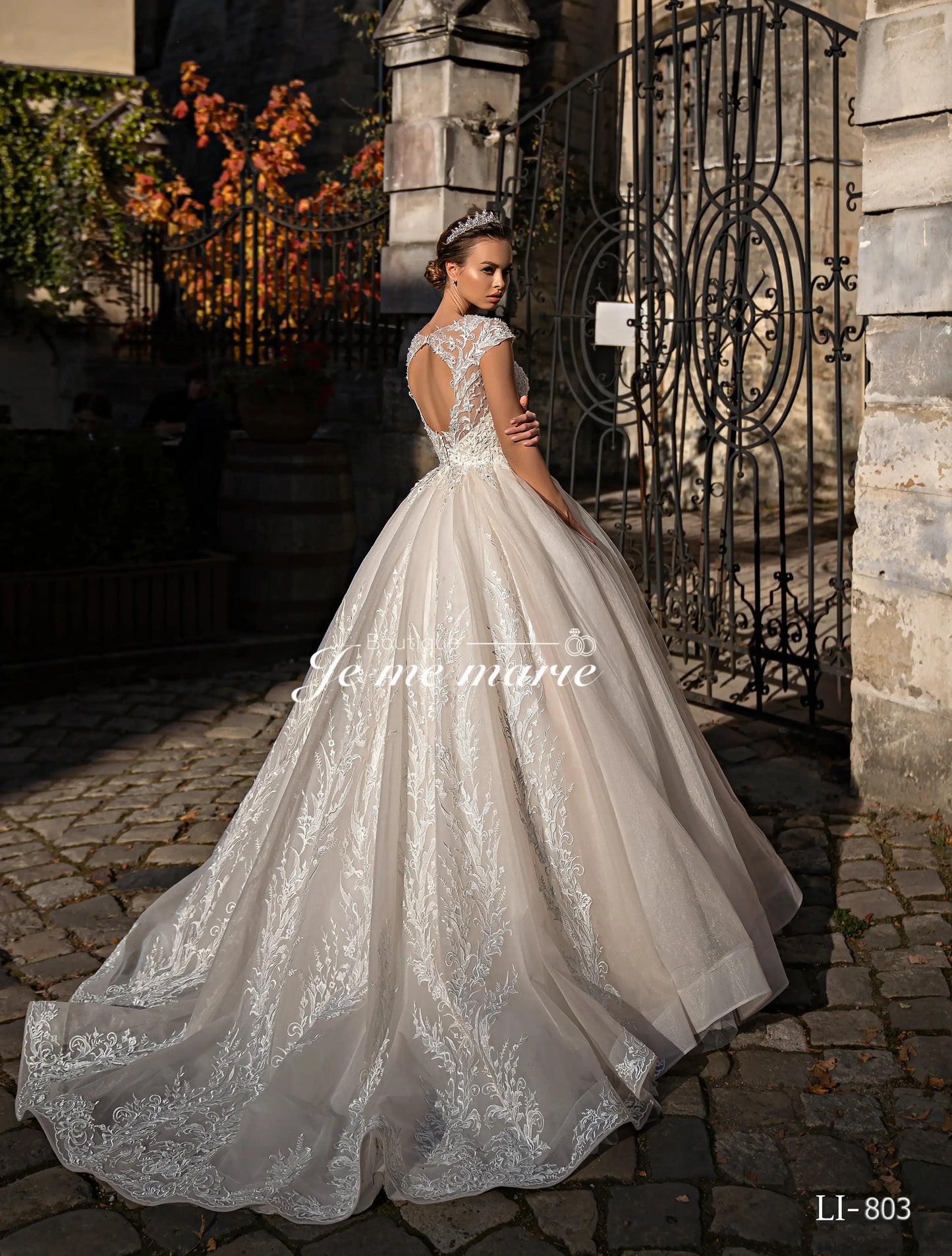 LI-803 robe de mariée ivoire princesse en tulle et dentelle