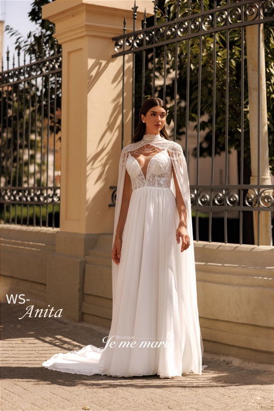 WS-ANITA