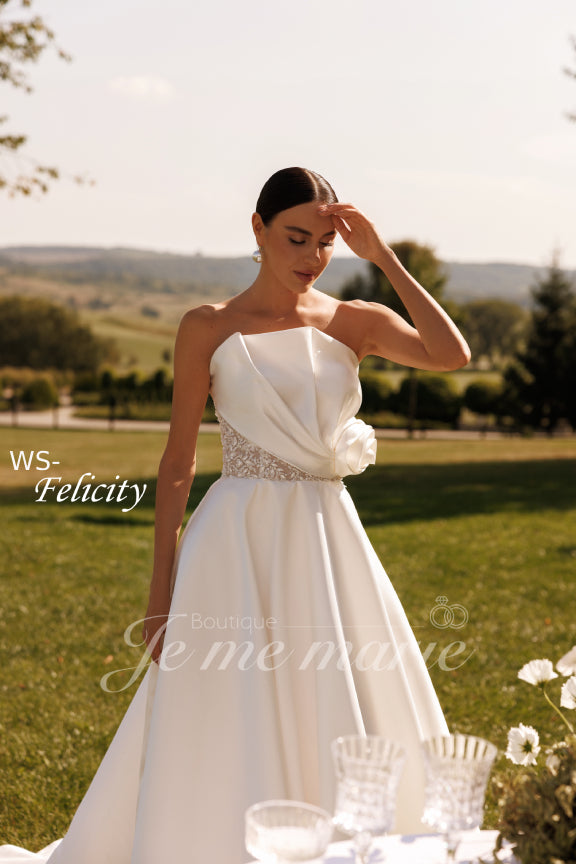 WS-FELICITY